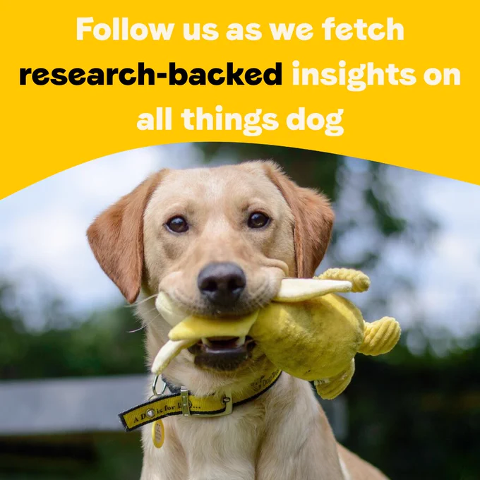 An image depicting a labrador who is facing the camera holding a yellow toy in their mouth. The top of the image reads 'follow us as we fetch research-backed insights on all things dog'