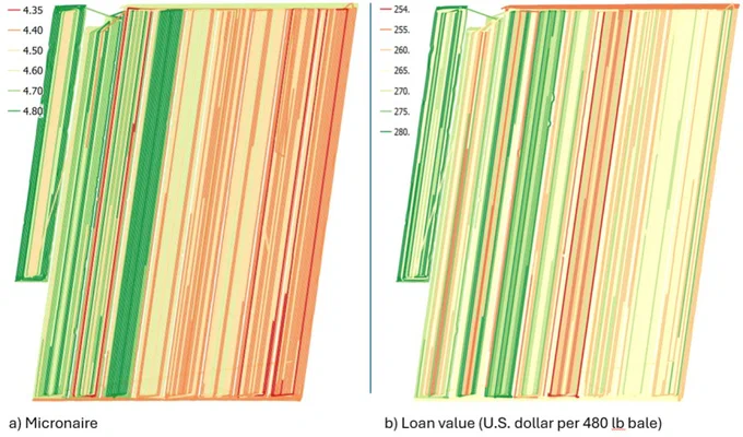 Figure showing Micronaire (left) and loan value (right) in a North Carolina cotton field.
