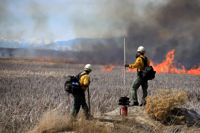 Two wildland firefighters in yellow and green personal protective equipment look toward a prescribed burn with smoke rising in a field landscape.