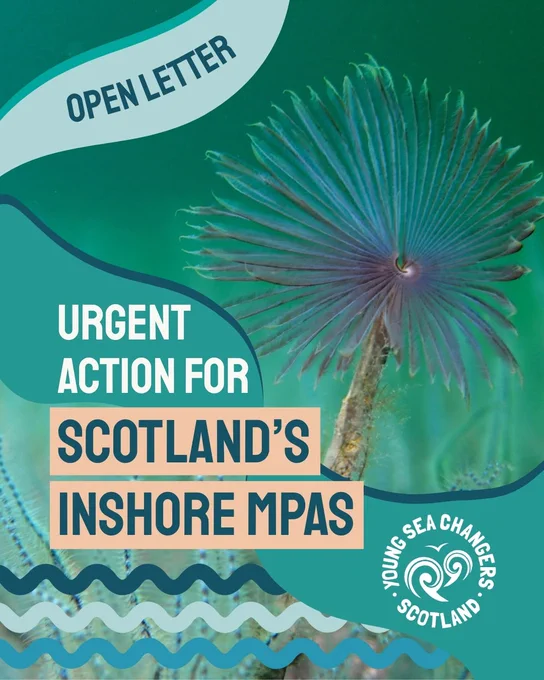 A vibrant underwater-themed poster with a feather duster worm in the background. The text reads "Open Letter: Urgent Action for Scotland's Inshore MPAs" in bold letters. The bottom right features the logo of Young Sea Changers Scotland with stylized ocean waves. The design incorporates shades of teal and blue.