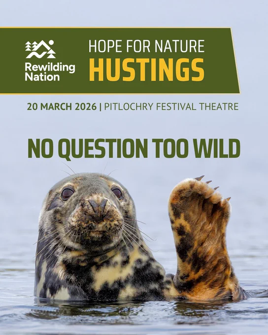A poster for the Rewilding Nation "Hope for Nature Hustings", featuring a grey seal with its flipper raised above water and the tagline "No Question Too Wild." The event is on March 20, 2026, at Pitlochry Festival Theatre.
