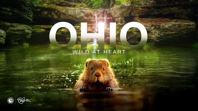 Rocky waterfall and pool with green reflection of the landscape on the water. Beaver in the water poking up in the bottom center. Large white text that reads ‘Ohio – Wild at Heart.’ Ohio DNR logo and Ohio The Heart of It All logo at bottom left. 