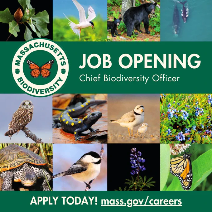 Job Opening: Chief Biodiversity Officer