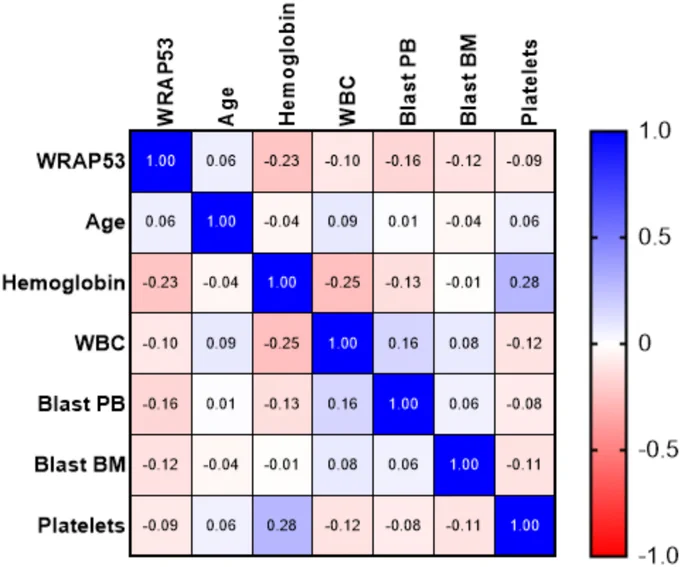 Gadelha et al., Cancer Reports, https://doi.org/10.1002/cnr2.70464