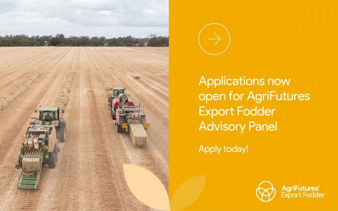 Two tractors harvesting and baling fodder in a large dry field under a cloudy sky, with an anouncement for open applications to join the AgriFutures Export Fodder Advisory Panel, encouraging immediate application.