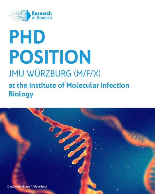 In the top left corner is the logo of Research in Bavaria, text below says: “PhD Position JMU Würzburg (m/f/x) at the Institute of Molecular Infection Biology” 

Photo below shows a single strand ribonucleic acid in focus, 2 other blurred in the background. 