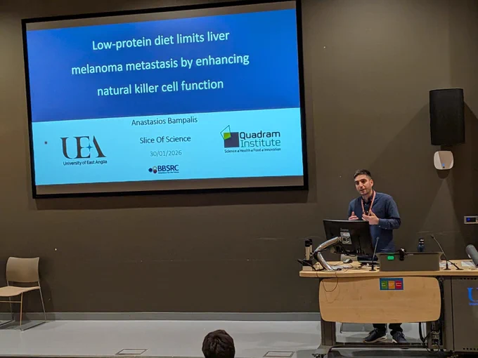 Tasos is standing at a wooden podium in a lecture hall, gesturing with his hands. A large projection screen behind him displays a title slide reading "Low-protein diet limits liver melanoma metastasis by enhancing natural killer cell function" by Anastasios Bampalis. The slide features logos for the University of East Anglia (UEA) and the Quadram Institute, with the date 30/01/2026.