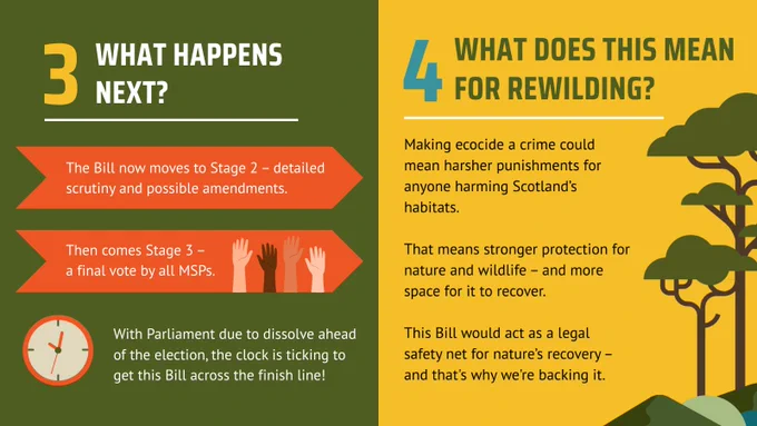 An informative graphic about ecocide bill. On the left, text against a green background reads "3 What Happens Next?" above orange arrows. The first arrow states: "The Bill now moves to Stage 2 – detailed scrutiny and possible amendments." The second arrow reads: "Then comes Stage 3 – a final vote by all MSPs," accompanied by illustrations of diverse hands raised. Below, a clock icon appears with the text: "With Parliament due to dissolve ahead of the election, the clock is ticking to get this Bill across the finish line!" On the right, green tree illustrations are set against a yellow background. Text reads, "What does this mean for rewilding? Making ecocide a crime could mean harsher punishments for anyone harming Scotland’s habitats. That means stronger protection for nature and wildlife – and more space for it to recover. This Bill would act as a legal safety net for nature’s recovery – and that's why we're backing it." 