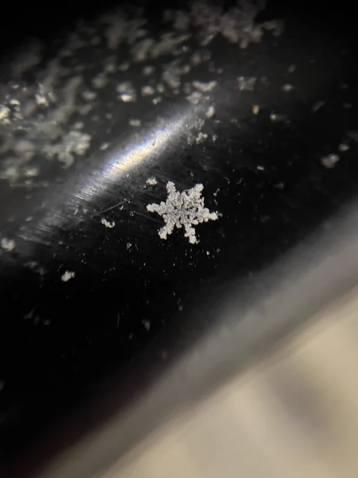 Hi resolution photo of a dendritic snow flake. 