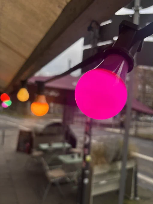 Pink Moon. Glühbirnen können das! Heute werde ich bekocht. Es gibt Linsensuppe. Darauf freue ich mich jetzt schon. Karneval rückt näher … aber nichts für mich, nur Kostüme gucken macht Spaß 

Langsam sollte ich ein Plakat erstellen. Vielleicht beginne ich das heute Abend. Es gibt jedenfalls viel zu tun. Die Vorbereitungen für die legendäre Frühlingsausstellung laufen an!