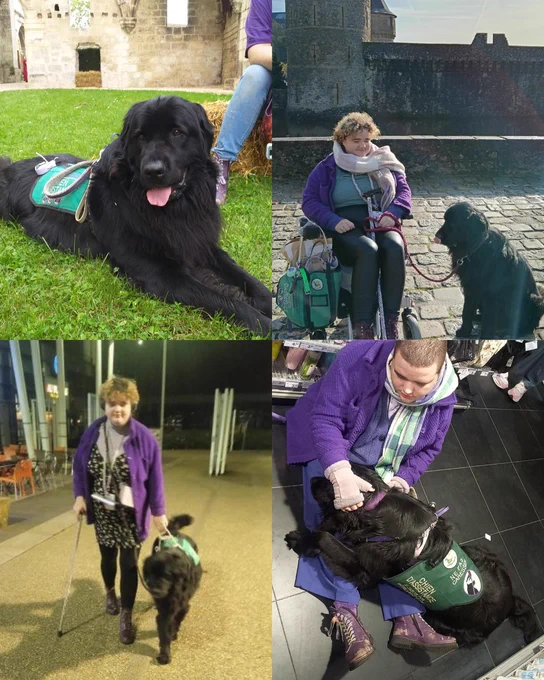 Photos de ma chienne d'assistance et moi 💜