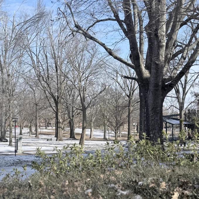 The Grove