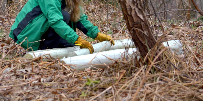 Person working with tree guards in a woodland.