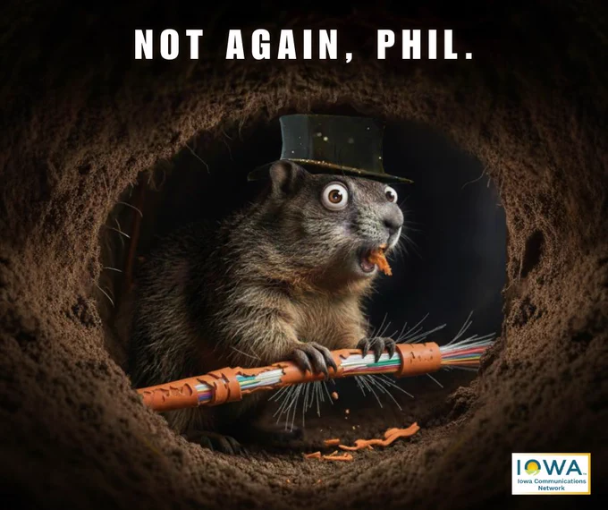 "Not again, Phil" text above a cartoonish photo of Punxsutawney Phil jokingly chewing on Iowa Communications Network fiber cables. ICN logo in the bottom right.