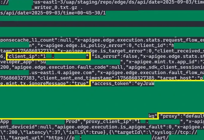 A redacted screenshot of JSON log data serving as proof of exploit. The image highlights captured sensitive fields including a 'client_ip' and a cross-tenant 'access_token' (JWT), demonstrating successful unauthorized data access.