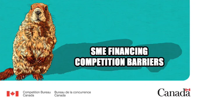 An illustration of a groundhog standing upright on a turquoise background, casting a long shadow to the right. Text over the shadow reads: “SME Financing Competition Barriers”