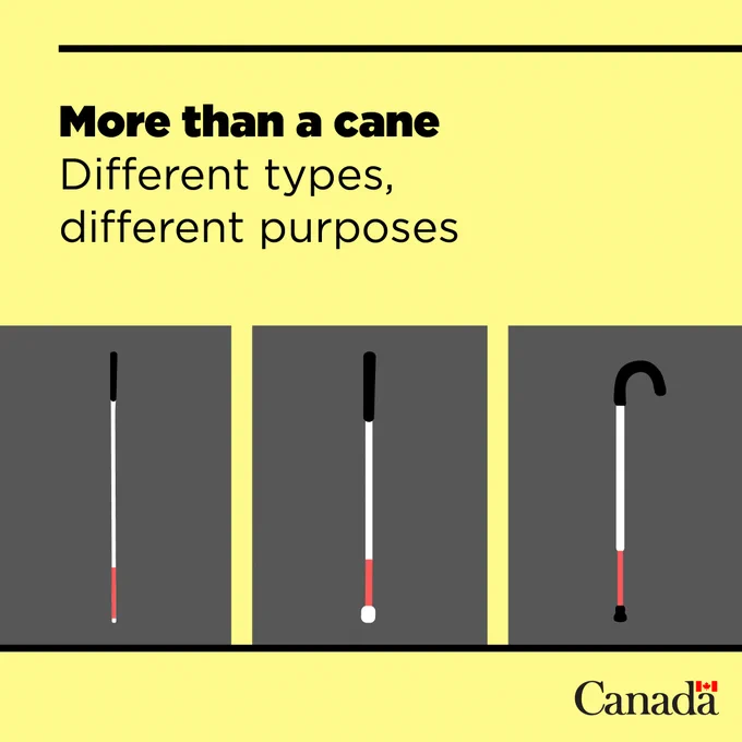 More than a cane 
Different types, different purposes 
