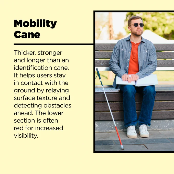 Mobility Cane 
Thicker, stronger and longer than an identification cane. It helps users stay in contact with the ground by relaying surface texture and detecting obstacles ahead. The lower section is often red for increased visibility. 
