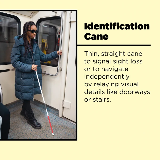 Identification Cane 
Thin, straight cane to signal sight loss or to navigate independently by relaying visual details like doorways or stairs. 