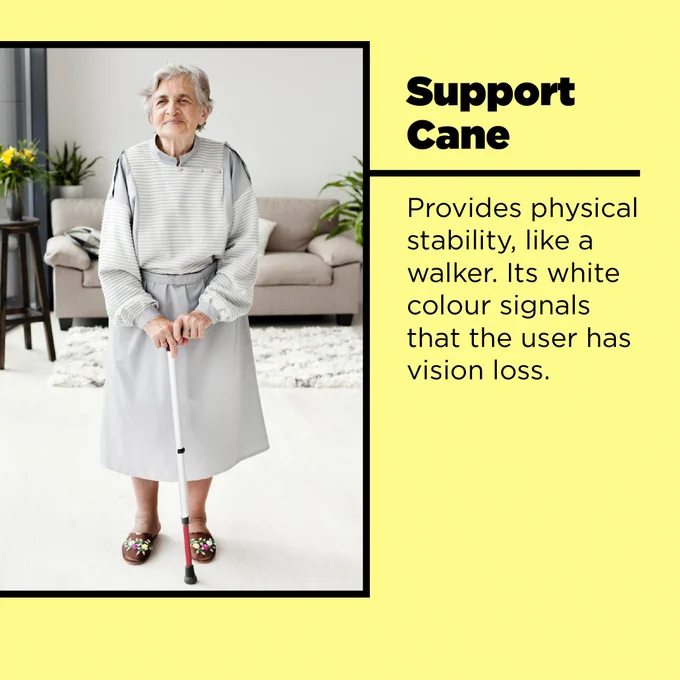 Support Cane 
Provides physical stability, like a walker. Its white colour signals that the user has vision loss. 