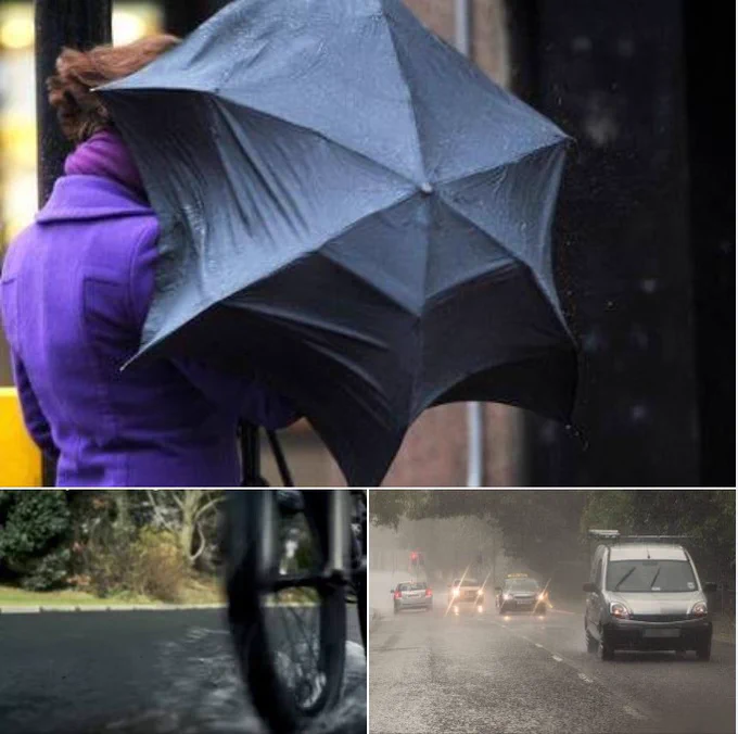 Montage of images of a pedestrian with an umbrella, a cyclist and vehicles on wet roads