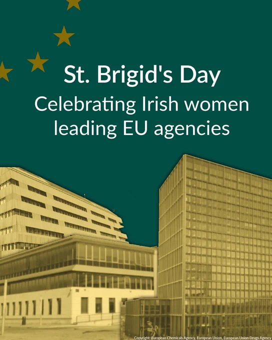 A green background with the EMA, EUDA, and ECHA headquarter buildings appearing in the foreground in gold. In the top left corner are four gold stars. Text in the centre of the image, in white, reads: St. Brigid's Day; Celebrating Irish women leading EU agencies