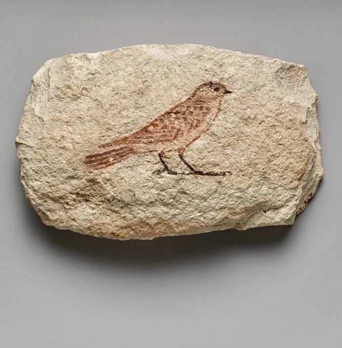 Met Museum photo of an Ancient Egyptian artist’s painting of a swallow on a flake of limestone, dated to the New Kingdom, Dynasty 18, joint reign of Hatshepsut and Thutmose III, c. 1479-1458 BC. 

The sparrow stands in profile with head to the right. It is delicately painted with a pinkish body. The outline and details are highlighted in a reddish/brown pigment. Its legs, eye, and beak are painted black. Limestone flake dimensions Height 6.6 cm x Width 10.6 cm.

This may have been a practice drawing of the sparrow hieroglyph which was used for words meaning ‘small’, ‘poor’, or ‘bad’.