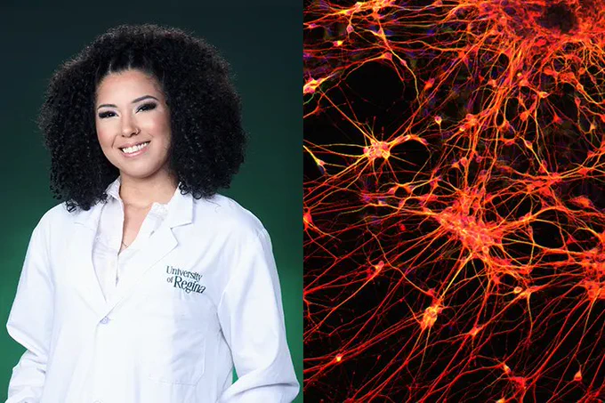 IMAGE : Montage en 2 sections. À gauche: Portrait de Jade Fisher portant une blouse de laboratoire blanche, sur arrière-plan vert. À droite: image scientifique montrant des neurones en rouge sur fond noir; image qu'elle a présentée au concours Science Exposed du CRSNG.