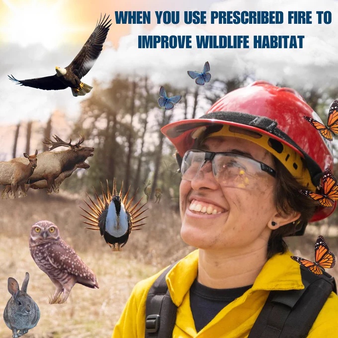 Wildlife species including elk, eagle, owl, rabbit, and butterflies surround a firefighter in yellow gear promoting prescribed fire for habitat improvement.