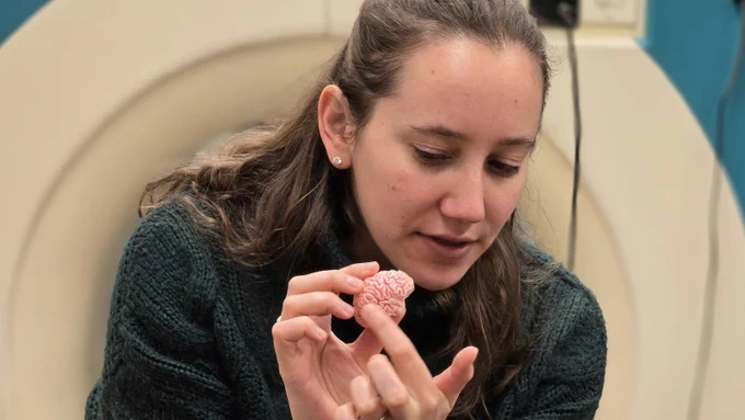Postdoc Halie Olson holds a tiny model brain to illustrate to a group of middle schoolers what makes kid brains different than adult brains.