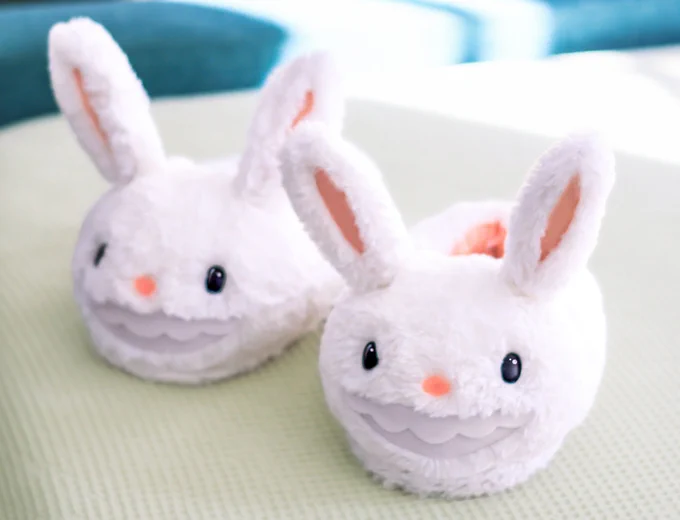 A pair of Max slippers donated by @uncute