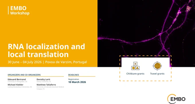 Meeting announcement for an EMBO Workshop on RNA localization and local translation. Registration deadline is 10 March 2026. Image shows a magenta neuron with tiny yellow dots of RNA inside. Poster indicates childcare and travel grants are available and lists the names of 4 co-organizers.