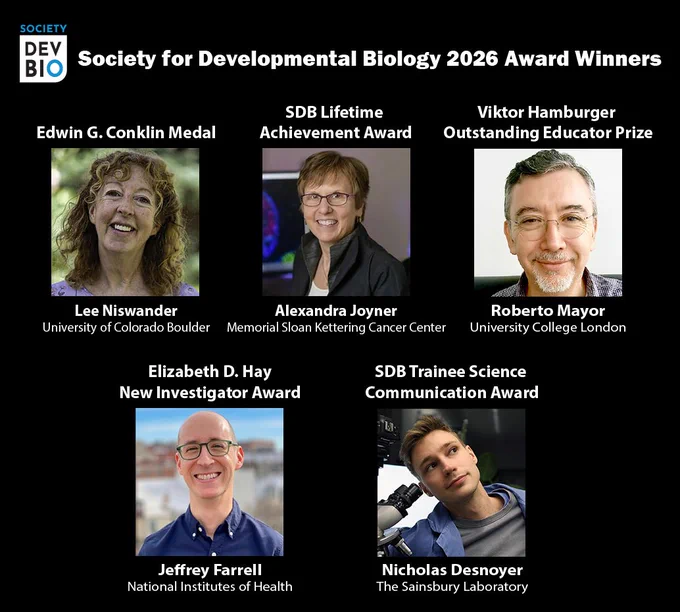 Society for Developmental Biology logo
Society for Developmental Biology 2026 Award Winners

Edwin G. Conklin Medal
Headshot of Lee Niswander
Lee Niswander, University of Colorado Boulder

Society for Developmental Biology Lifetime Achievement Award
Headshot of Alexandra Joyner
Alexandra Joyner, Memorial Sloan Kettering Cancer Center

Viktor Hamburger Outstanding Educator Prize
Headshot of Roberto Mayor
Roberto Mayor, University College London

Elizabeth D. Hay New Investigator Award
Headshot of Jeffrey Farrell
Jeffrey Farrell, National Institutes of Health
 
Society for Developmental Biology Trainee Science Communication Award
Headshot of Nicholas Desnoyer
Nicholas Desnoyer, The Sainsbury Laboratory