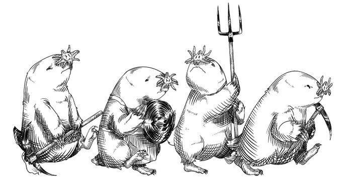 Humanoid star-nosed moles carrying pitchfolks, pickaxes, and shields. One of them has a little apron. They're kind of ugly-cute?