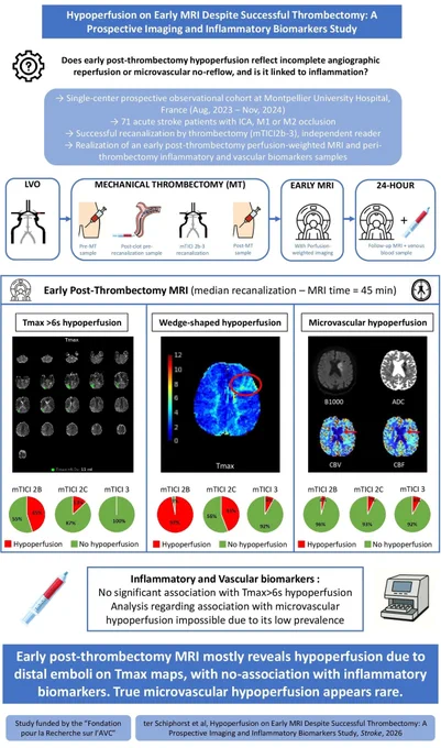 Graphic abstract in ter Schiphorst et al.