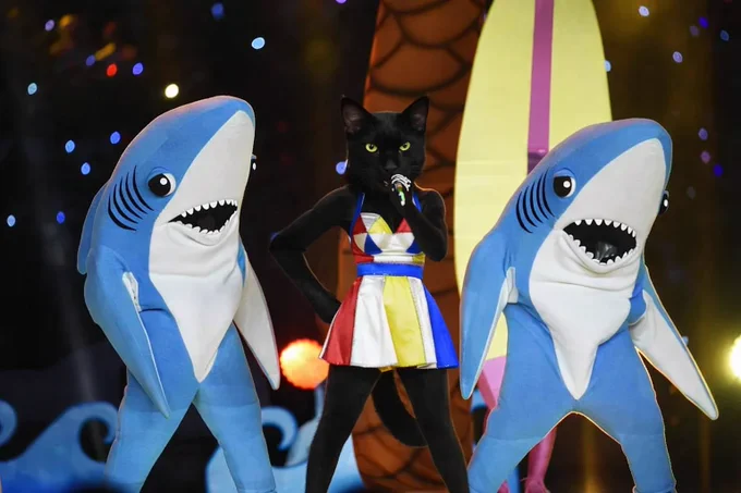 Mr. Breeze with left and right sharks.
