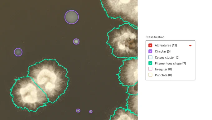 Half the image is a closeup of filamentous colonies outline in green (in detail) and circular colonies outlined in purple. On the right is a white legend stating All features (red tick) 12, Circular (purple tick) 5 colony cluster 0, filamentous shape (green tick) 7, irregular 0, punctate 0. 