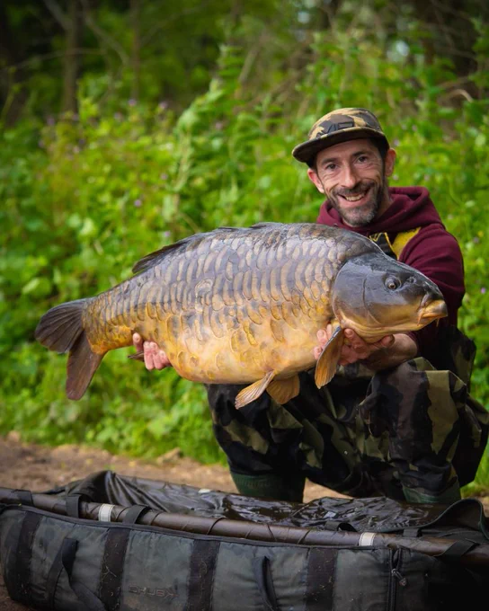 40lb fully scaled mirror carp caught at Horcott lakes in fairford in Gloucestershire.
