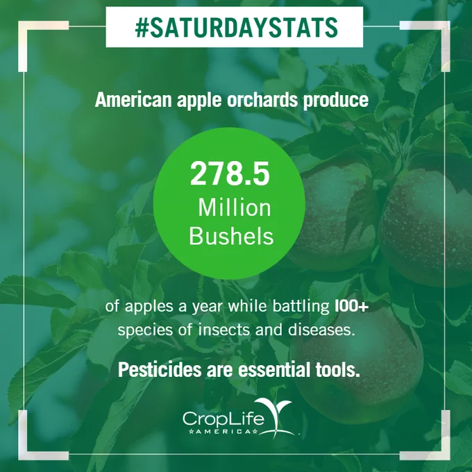 #SaturdayStats
