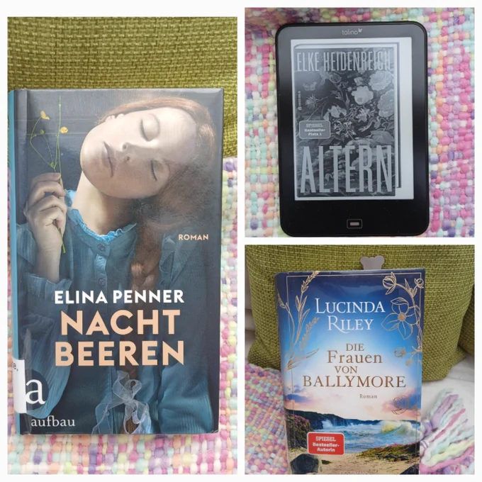 Collage aus zwei gebundenen Büchern und einem EBook, jeweils auf bunt gemusterter Wolldecke und moosgrünen Kissen:

Elina Penner, Nachtbeeren 
Elke Heidenreich,  Altern
Lucinda Riley, die Frauen von Ballymore