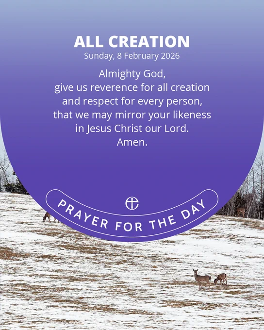Almighty God,
give us reverence for all creation
and respect for every person,
that we may mirror your likeness
in Jesus Christ our Lord.
Amen.
