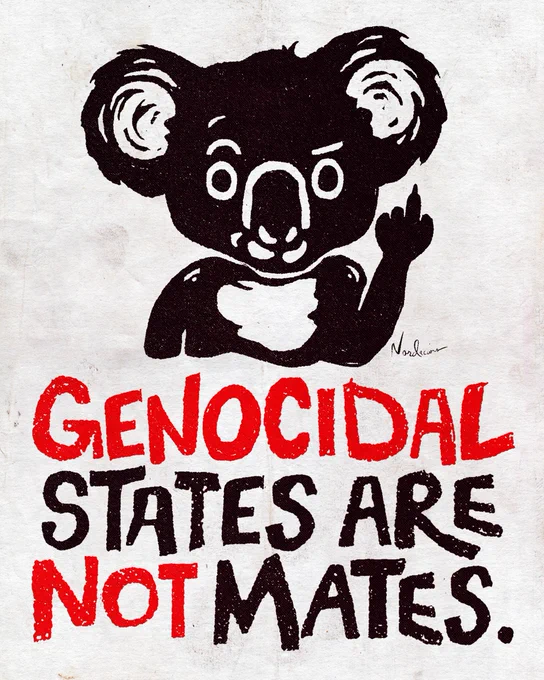 Hand-drawn protest poster featuring a black koala raising its middle finger. Below, bold red and black text reads “GENOCIDAL STATES ARE NOT MATES.” The style is rough, stencil-like, and printed on textured off-white paper.