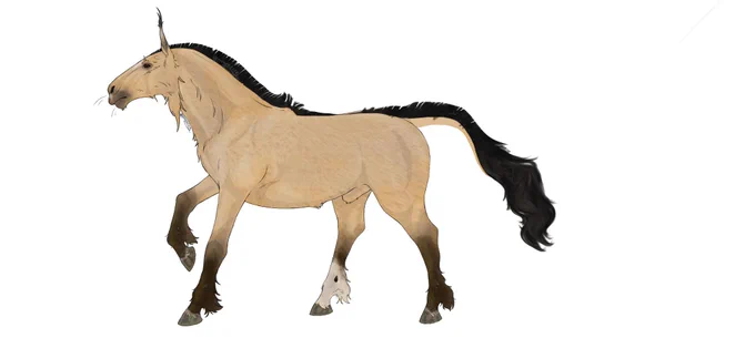 This one is based on my horse!! His name was Baluu and he was the best boy I could've had on my riding journey. I learned a lot from his stubborn character and he became dear to me. Sadly he was sold away by the club I attended, so I can't see him anymore... But I will forever remember him as my little baby boy. 

As for species pattern variation it doesn't have much of a reason other than the same reason buckskin horses exist. 