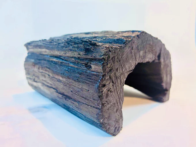Photograph: Bog Oak - Prompt - OLD