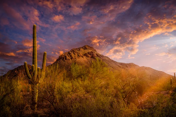 Arizona wall art, desert sunrise print, saguaro cactus art, western movie decor, gates pass mountain, old tucson studios, southwestern wall decor, cowboy wall art, sonoran desert photo, rustic home decor, western landscape print, arizona photography, desert home art
