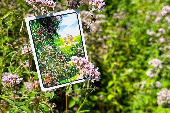 Hanafuda Large-Format Edition Card in Garden
