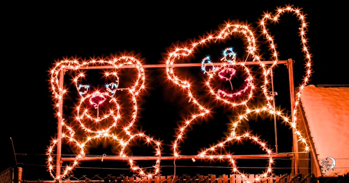Teddy Bears at Bright Nights at Forest Park