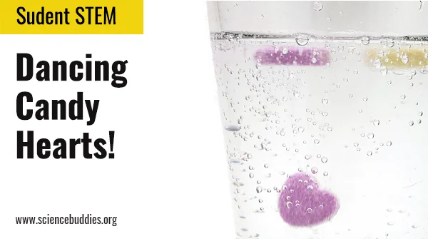 Candies dissolving in a chemistry demonstration