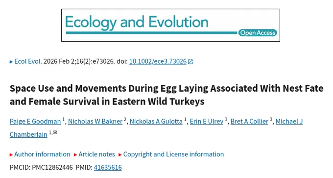 Ecol Evol. 2026 Feb 2;16(2):e73026. doi: 10.1002/ece3.73026 
PMC/Space Use and Movements During Egg Laying Associated With Nest Fate and Female Survival in Eastern Wild Turkeys