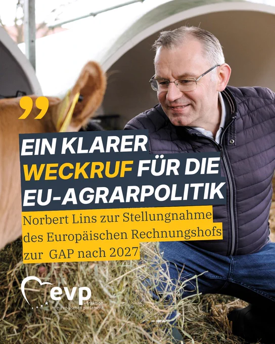 Norbert Lins, Mitglied des Europäischen Parlaments, hockt in einem Kuhstall und gibt Futter zu. Im Vordergrund sein Statement zu einer Stellungnahme des Europäischen Gerichtshofs mit den Worten: "Ein klarer Weckruf für die EU-Agrarpolitik"